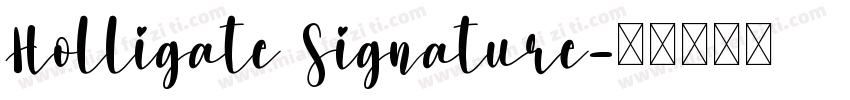 Holligate Signature字体转换